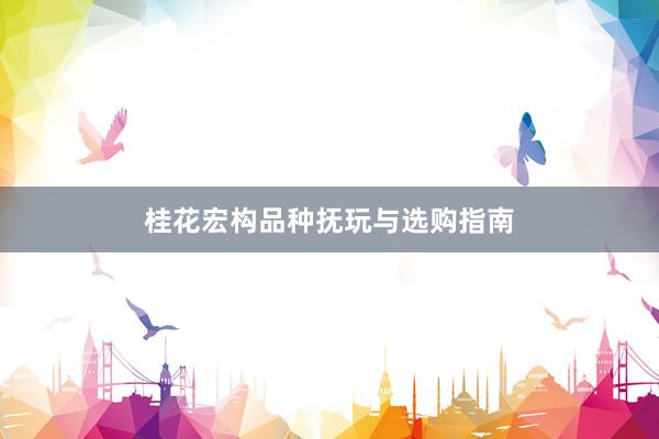 桂花宏构品种抚玩与选购指南