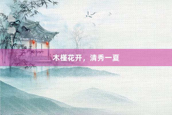 木槿花开，清秀一夏