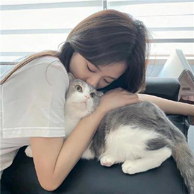美国派:高潮再起